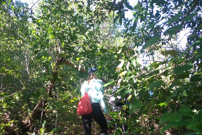 My Son sanctuary and mountain trekking - Small-Group Style and the Role of the Guide