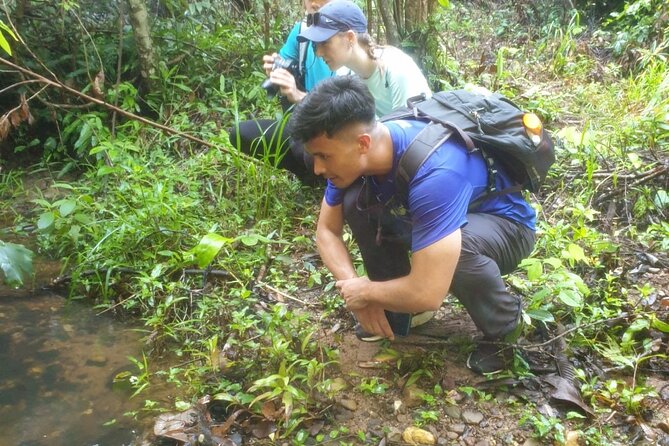 My Son sanctuary and mountain trekking - My Son Sanctuary: Champa Temples First, Then Out to the Wild
