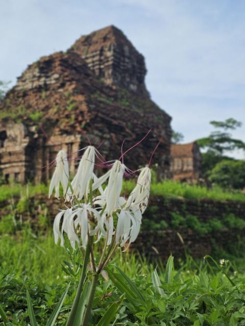 My Son Sanctuary Morning/Afternoon with Boat Trip and Banhmi - The Cham Show Moment: When It Happens and Why It’s Worth Watching