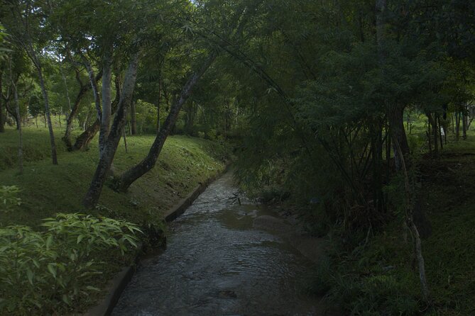 My Son Sanctuary Private Tour - Early Morning or Half Day Tour - Who This Private Tour Works Best For