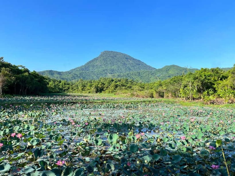 MY SON SANCTUARY - RICE PAPER MAKING DELUXE TOUR FROM DANANG - The Walk, the Temples, and the Electric Car You’ll Pay Extra