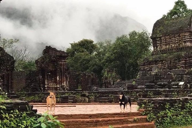 My Son Sanctuary Sunrise Private Tour - Price and Value: Is $55 Really Fair?