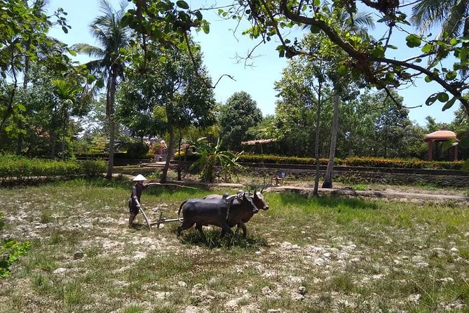 Private Day Trip To Visit MY LAI MASSACRE from Hoi an or Da Nang City - The 8:00am pickup and private-ride rhythm