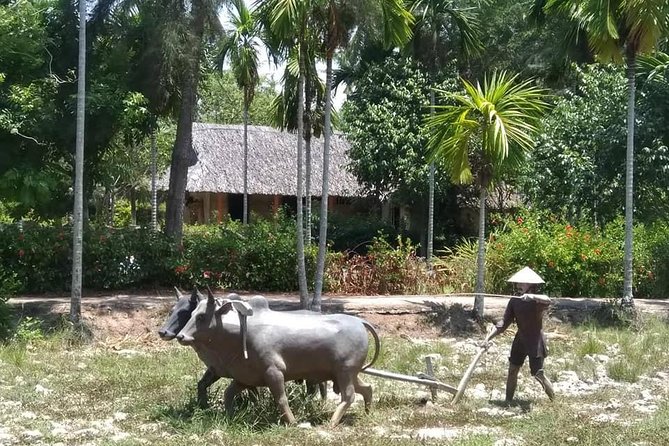 Private Day Trip To Visit MY LAI MASSACRE from Hoi an or Da Nang City - Lunch, bottled water, and what’s actually included