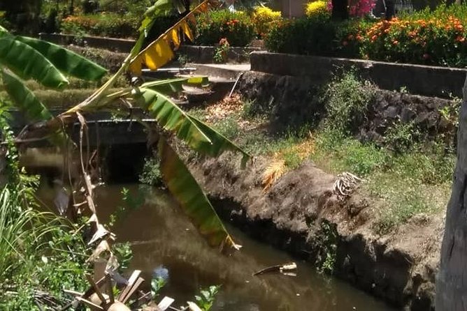 Private Day Trip To Visit MY LAI MASSACRE from Hoi an or Da Nang City - Who this tour is best for (and who may want a different plan)