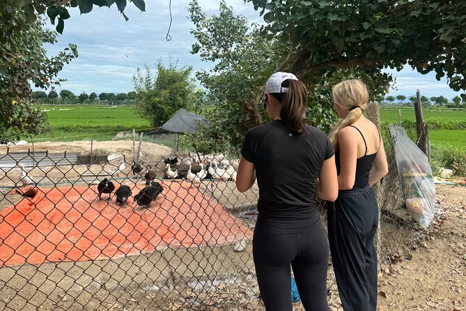 Private Half-Day Hoi An Tour for Families, Couples & Small Groups - Rain plans, WhatsApp updates, and traveling with kids