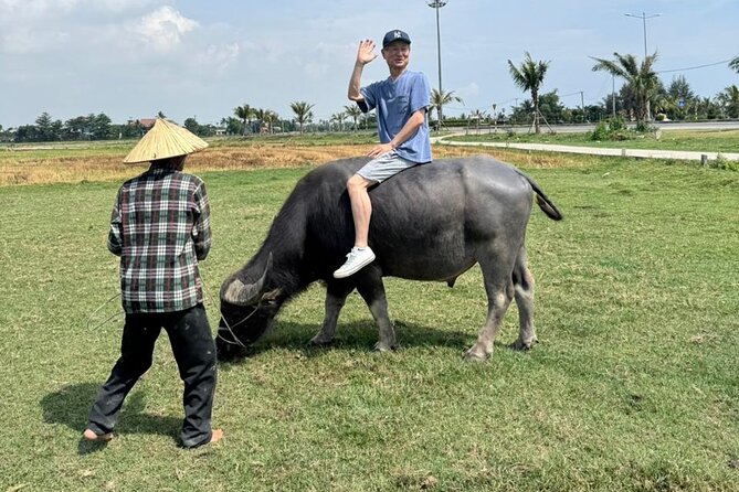 Private Half-Day Hoi An Tour for Families, Couples & Small Groups - Should you book this Hoi An countryside plus Old Town tour?