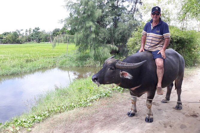 Private Hoi An Countryside: Biking, Basket boat, buffalo, foods - Biking from the water to Tra Que: the scenery changes fast