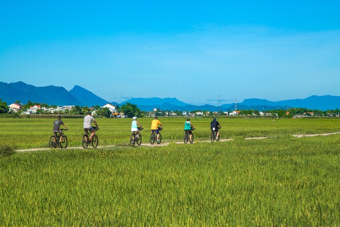 Private Hoi An to My Son Sanctuary Full-Day Bike Tour - Discova check-in: bike fitting, safety, and a smooth start