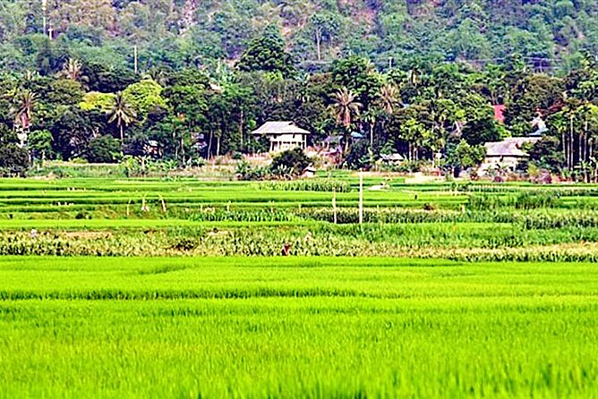 Real Vietnam Countryside Bicycle Tour & Enjoy Sunset On Wood Boat - Getting picked up in Hoi An and set up with the basics