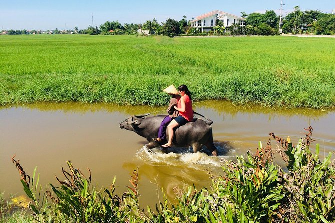 Riding Water Buffalo and Basket Boat Hoi An Private Bike Tour - Private Hoi An countryside biking, minus the tour-crowd feel
