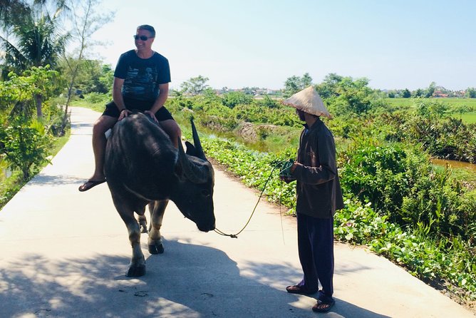 Riding Water Buffalo and Basket Boat Hoi An Private Bike Tour - Cam Chau by bike: fields, villages, and quick culture moments