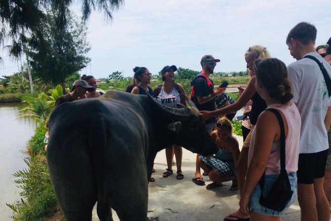 Riding Water Buffalo and Basket Boat Hoi An Private Bike Tour - Your guide in the saddle: Tom’s role in making it click