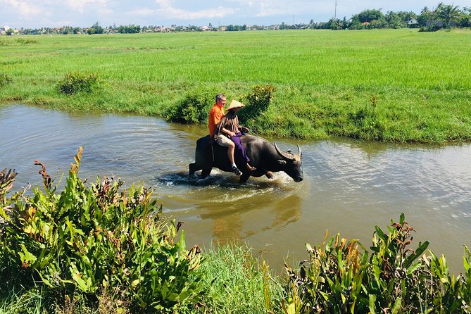 Riding Water Buffalo and Basket Boat Hoi An Private Bike Tour - Who should book this bike-and-buffalo route