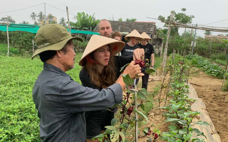 Rural Cycle, Market Tour, Basket Boat & Organic Farm Cooking - Meeting at Hoi An Post Office and the 3 km rice-field bike warm-up