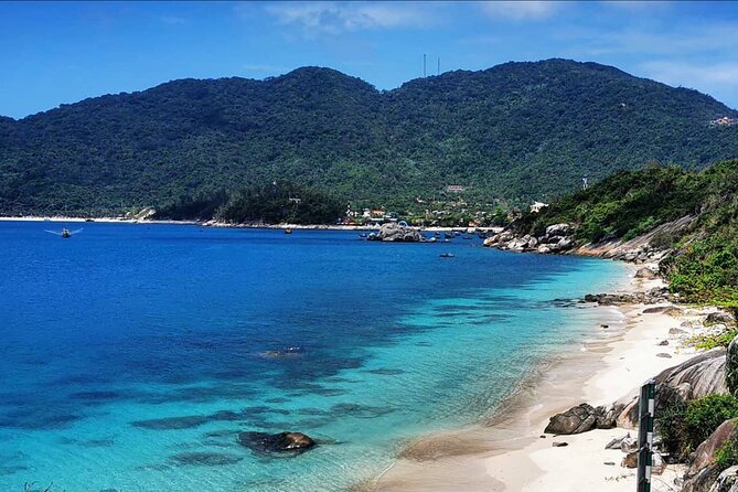 Scuba Diving Tour in Cham Island for certified divers or Beginners - Key Highlights You’ll Feel Immediately