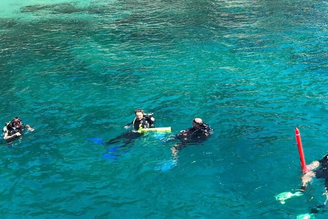 Scuba Diving Tour in Cham Island for certified divers or Beginners - Cham Islands and Cu Lao Cham Marine Park: Your UNESCO-Backed Water Playground