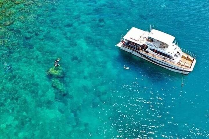 Scuba Diving Tour in Cham Island for certified divers or Beginners - What to Bring (and What to Expect from the Gear Plan)