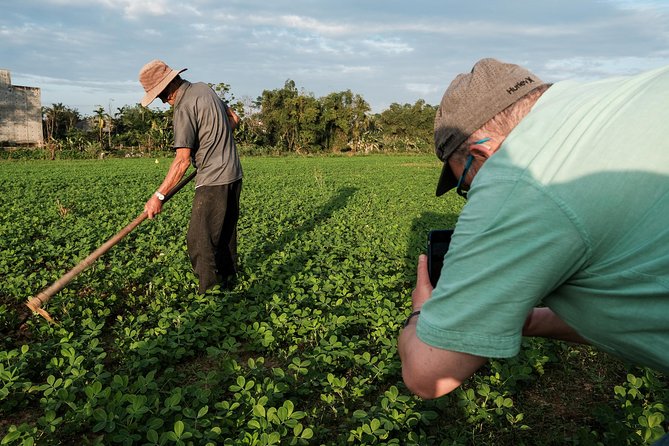 Sunset photo tour with the farmers - The 3:00 pm timeline: what your afternoon looks like