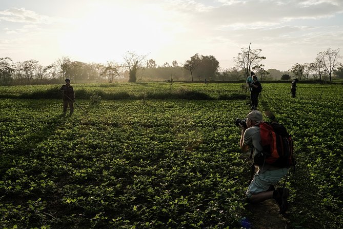 Sunset photo tour with the farmers - Group size, pacing, and how to get your best shots