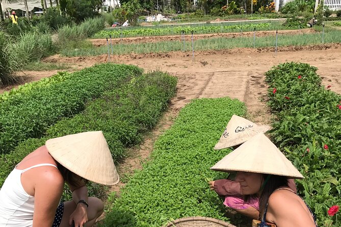 Tra Que Village Cycling And Farming - The included lunch: light Pho that fits the morning