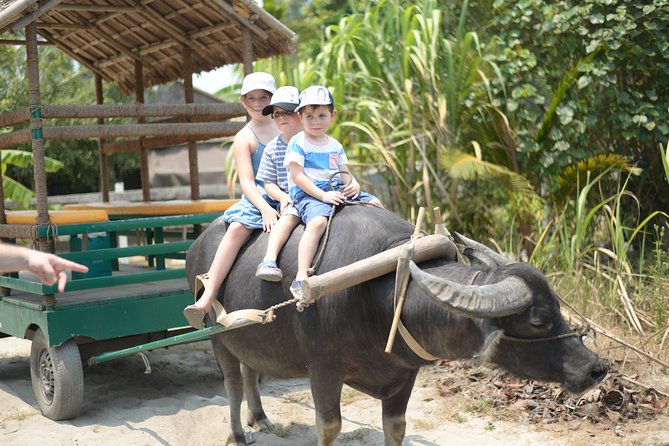 Traditional Cooking Class with Basket Boat Ride and market Tour - Thu Bon River cruise and Bay Mau coconut forest views