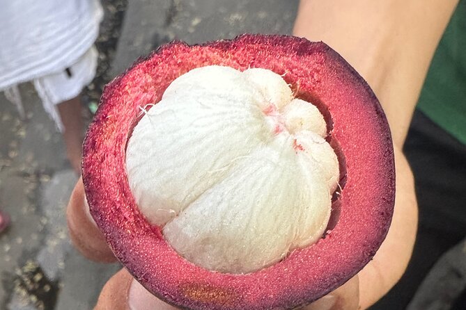 Vegan Food Tour - Untold Stories of Hoi An - Price and Value: What $28 Gets You in Real Terms
