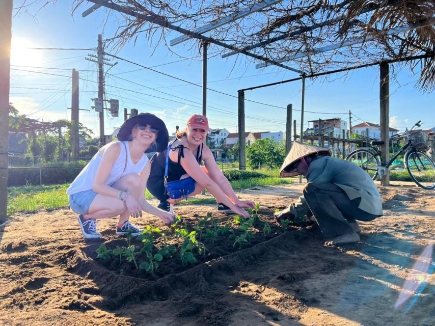 Vegetarian Cooking Class & Countryside Bike Tour in Hoi An - Tra Que Vegetable Village: A Farming Walk (and What You Learn There)