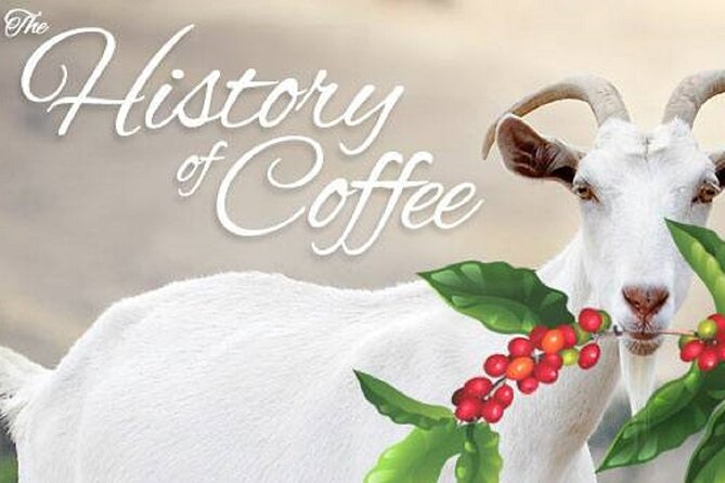 Vietnamese Culture and Coffee Making Class - How the Class Teaches Vietnamese Coffee Culture (Not Just Recipes)