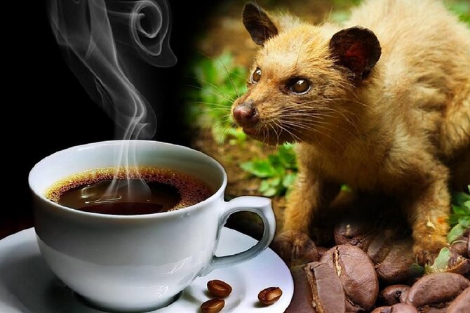 Vietnamese Culture and Coffee Making Class - Meet the Instructors and the Family-Run Feel