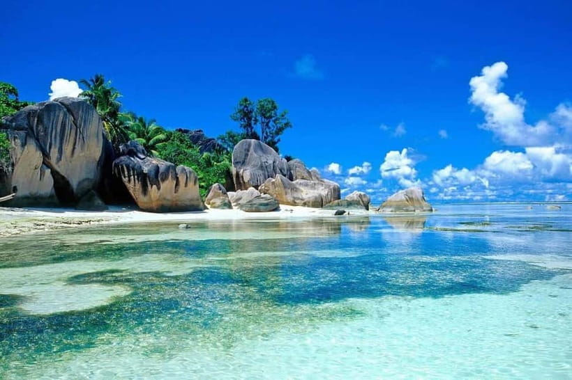 Visit Cham Islands & Snorkelling & Scuba Diving - Key Highlights You’ll Care About