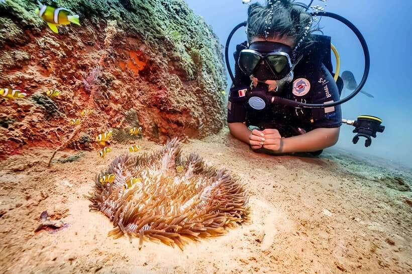 Visit Cham Islands & Snorkelling & Scuba Diving - From Hoi An to Cu Lao Cham: The Start Sets the Tone