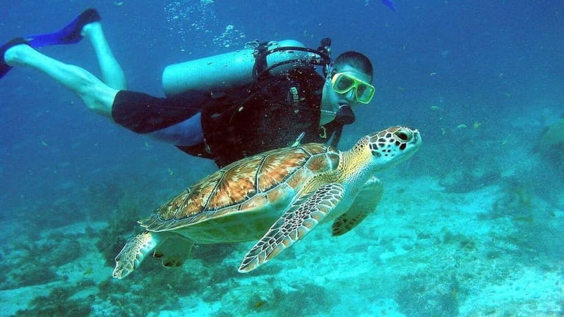 Visit Cham Islands & Snorkelling & Scuba Diving - Hai Tang Pagoda: A Sacred Temple Pause