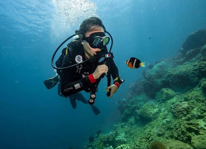 Visit Cham Islands & Snorkelling & Scuba Diving - Back to Hoi An: Shower, Chairs, and the Let-Down That Feels Nice